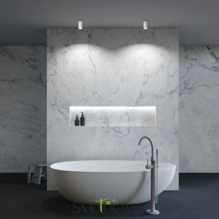 Потолочные светильники Maytoni C029CL-01-S-W от Магазина Svetdom.by