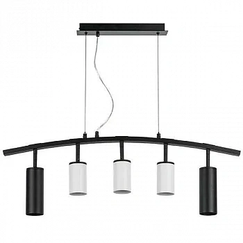 Lightstar LR735872363 Люстра RULLO 5х50W GU10 ЧЕРНЫЙ/БЕЛЫЙ (571735+214436-3+214487-2)