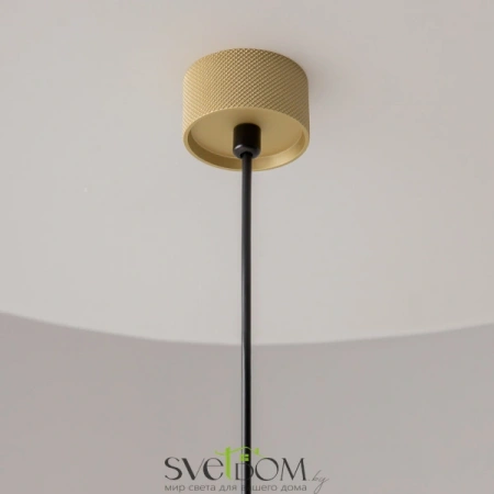 Подвесные светильники Maytoni P082PL-GU10-MG от Магазина Svetdom.by