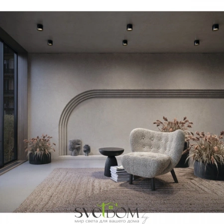 Потолочные светильники Maytoni C009CW-L12B от Магазина Svetdom.by