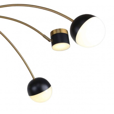 Люстры потолочные3096-10P Favourite | Svetdom.by