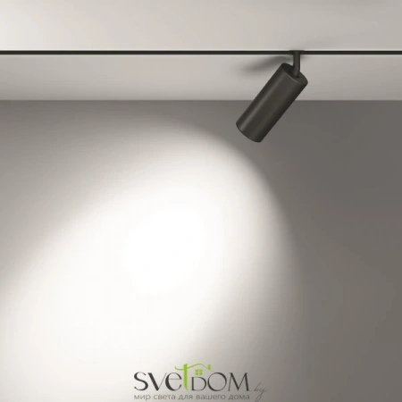 TR032-2-20W3K-S-B Maytoni