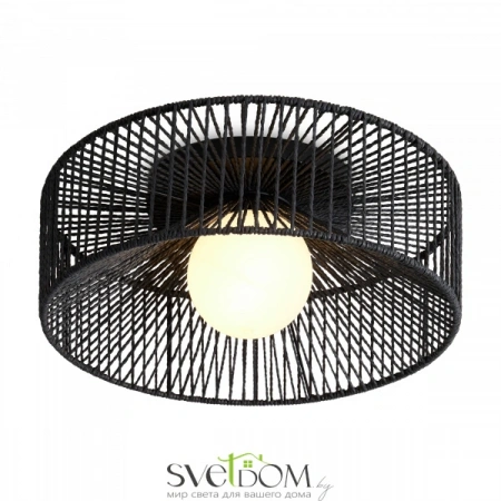 Потолочные светильники Freya FR5405CL-01B от Магазина Svetdom.by