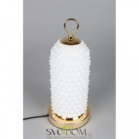 APL.332.04.10 Aployt