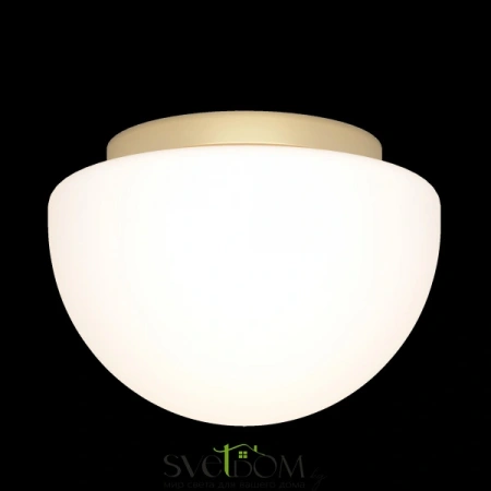 Потолочные светильники Maytoni MOD270CL-01G от Магазина Svetdom.by