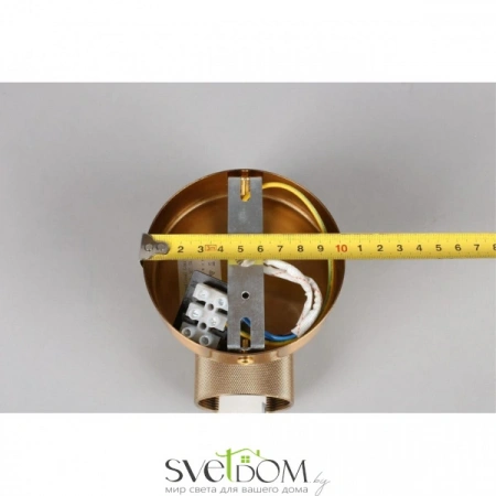 Настенные светильники APL.307.51.02 Aployt | Svetdom.by