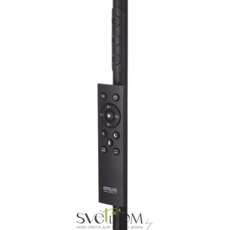 Citilux SOLO CL804061 LED Торшер с пультом Чёрный CITILUX