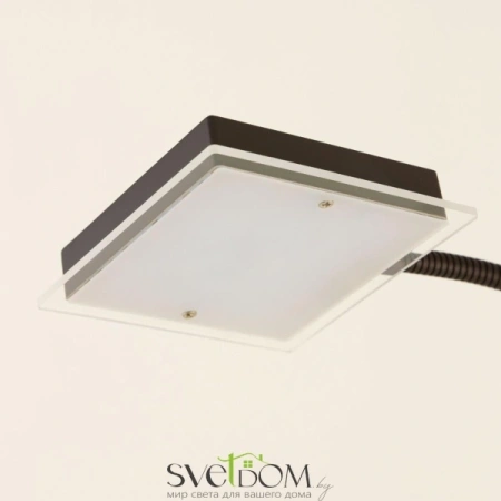 Citilux Харди CL802015 LED Торшер с диммером Кофейный CITILUX