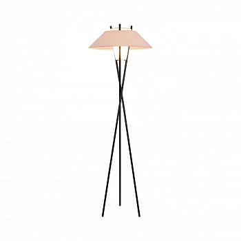 Напольный светильник (торшер) Maytoni MOD006FL-01B