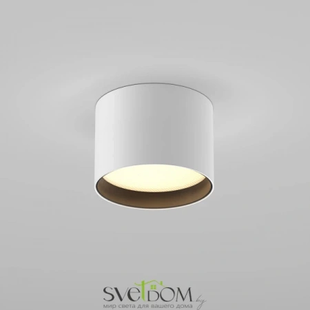 Потолочные светильники Maytoni C127CL-L7W3K-W от Магазина Svetdom.by