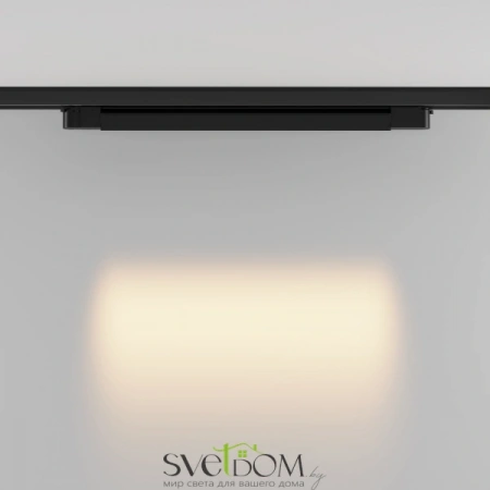 TR195-3-20W2.7K-M-B Maytoni