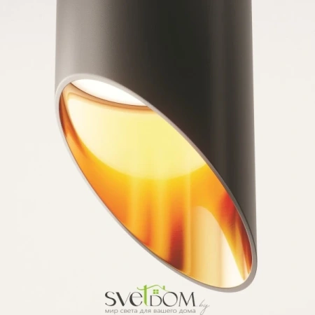 Потолочный светильник Technical C044CL-01-15GU10-B Maytoni