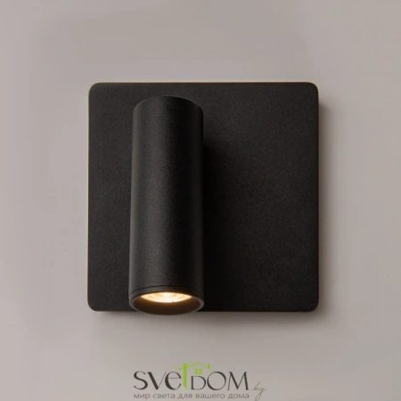 Настенные светильники C040WL-L3B3K Maytoni | Svetdom.by