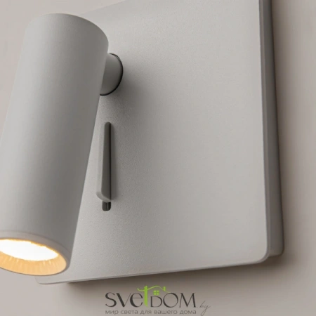 Настенные светильники C040WL-L3W3K Maytoni | Svetdom.by
