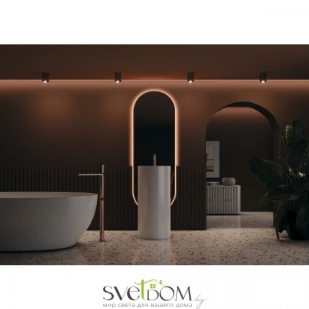 Потолочные светильники Maytoni C012CL-01B от Магазина Svetdom.by