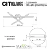 Люстры потолочныеCL203131 CITILUX | Svetdom.by