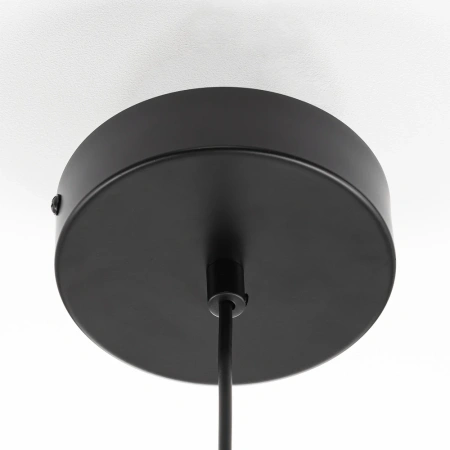 Подвесной светильник Citilux SIGNATURE CL247011 CITILUX