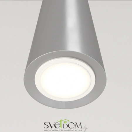 Подвесные светильники Maytoni P318-PL-01-N от Магазина Svetdom.by