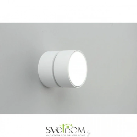 Накладные светильники Omnilux OML-101309-12 от Магазина Svetdom.by