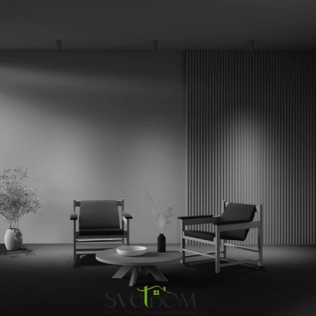 Потолочные светильники Maytoni C056CL-L12W2.7K-W-PT от Магазина Svetdom.by