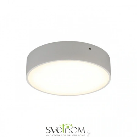 Настенно-потолочные светильники Aployt APL.0113.09.18 от Магазина Svetdom.by