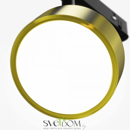 TR040-2-18W4K-BBS Maytoni