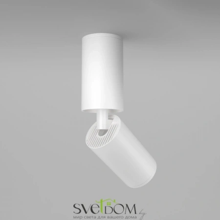 Потолочные светильники Maytoni C051CL-01W от Магазина Svetdom.by