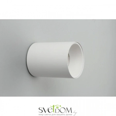 Накладные светильники Omnilux OML-101209-01 от Магазина Svetdom.by