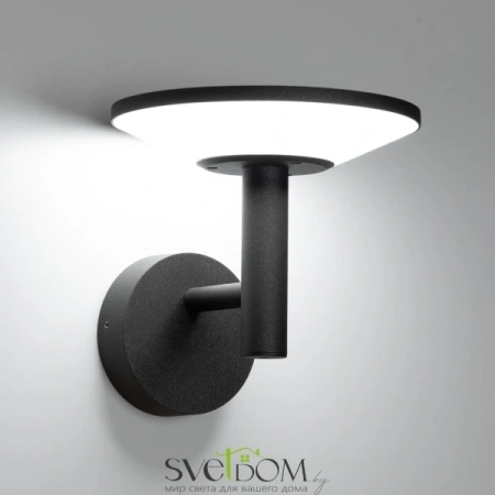 Citilux Dorn CLU05W LED Уличный настенный светильник Графит CITILUX