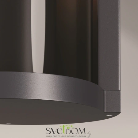 Настенный светильник (бра) Outdoor O451WL-01GF Maytoni