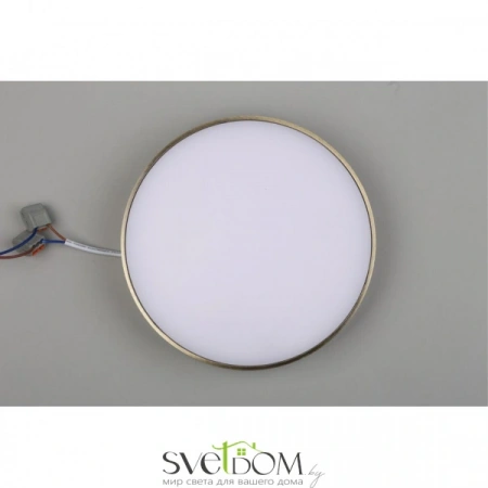 Настенно-потолочные светильники Aployt APL.0114.29.24 от Магазина Svetdom.by