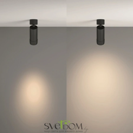 Потолочные светильники Maytoni C055CL-L12W4K-Z-B от Магазина Svetdom.by