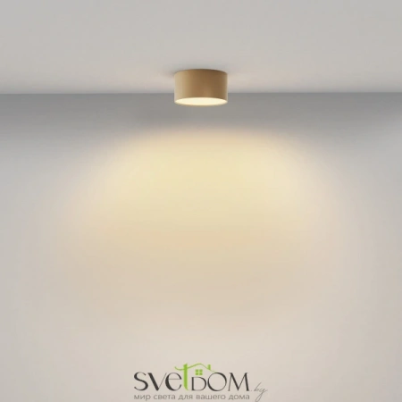 Потолочные светильники Maytoni C032CL-12W2.7K-RD-MG от Магазина Svetdom.by