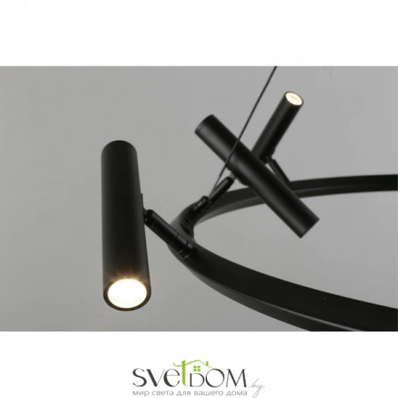 Люстры подвесныеAPL.067.03.50 Aployt | Svetdom.by