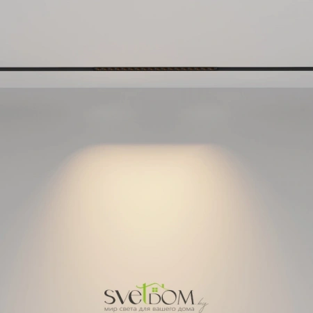 TR031-2-18W2.7K-B Maytoni