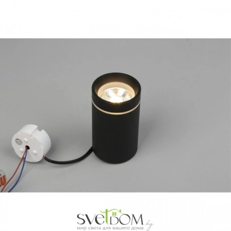 Накладные светильники Aployt APL.0053.19.10 от Магазина Svetdom.by