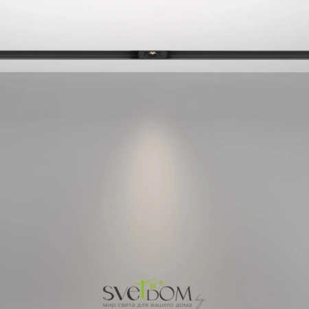 TR100-2-2W4K-S-B Maytoni