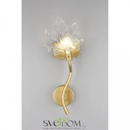 Бра OML-52701-01 Omnilux | Svetdom.by