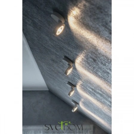 Потолочные светильники Maytoni C022CL-L7W от Магазина Svetdom.by