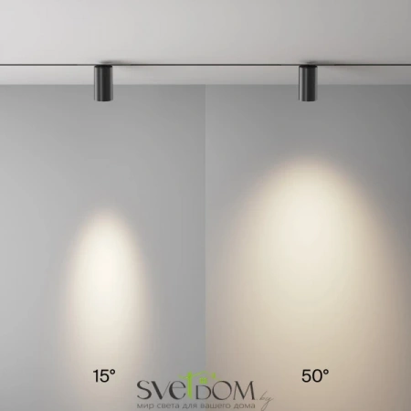 TR243-12W4K-B Maytoni