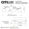 Люстры потолочныеCL223152 CITILUX | Svetdom.by