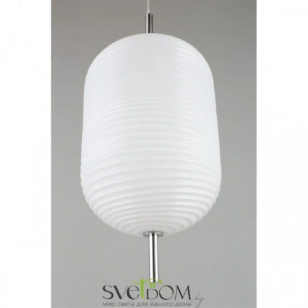 Подвесные светильники Aployt APL.316.26.01 от Магазина Svetdom.by