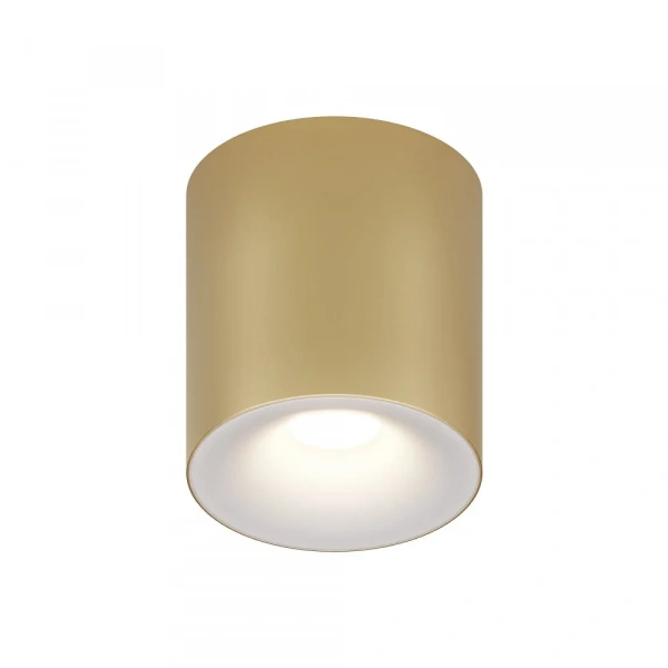 Потолочный светильник Technical C094-GU10-MG