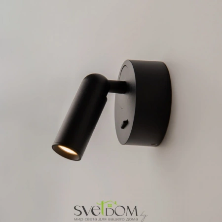 Настенные светильники C038WL-L3B3K Maytoni | Svetdom.by