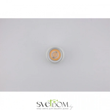 Накладные светильники Aployt APL.0055.19.05 от Магазина Svetdom.by