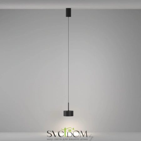 Подвесные светильники Maytoni P102PL-12W4K-B от Магазина Svetdom.by