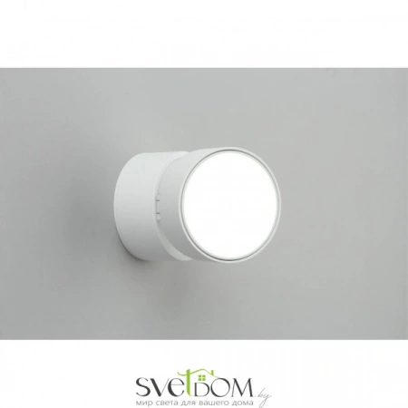 Накладные светильники Omnilux OML-101309-12 от Магазина Svetdom.by