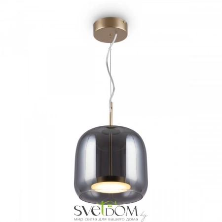 Подвесные светильники Maytoni MOD128PL-L6SG от Магазина Svetdom.by