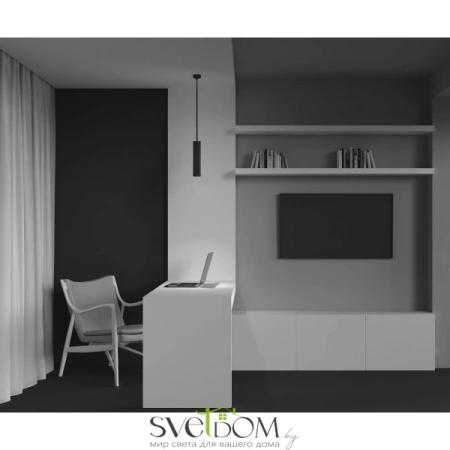 Подвесные светильники Maytoni P038PL-01B от Магазина Svetdom.by