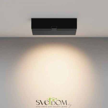 Потолочные светильники Maytoni C136CL-12W3K-B от Магазина Svetdom.by